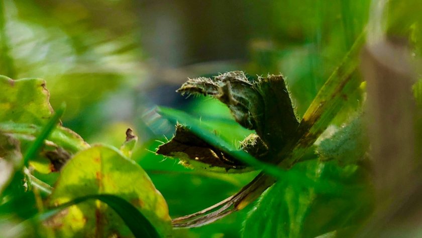 Comment Gérer l’Écran et le Temps d’Écran de Vos Enfants