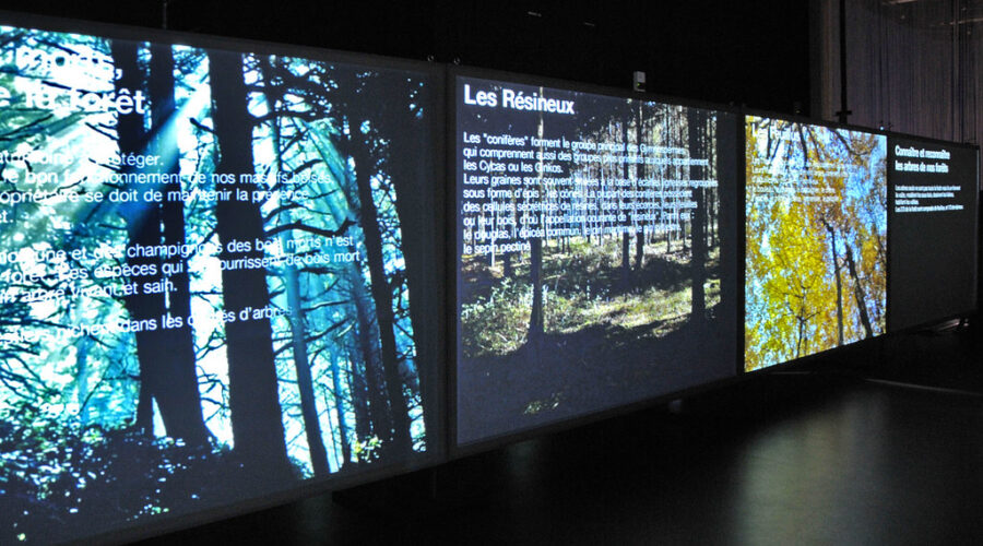 Gérer les Écrans : Comment Équilibrer la Technologie et la Famille