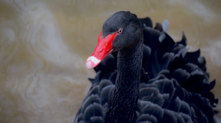Comment Favoriser l&rsquo;Estime de Soi chez Votre Enfant